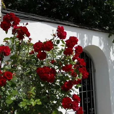 Ferienhaus Weyerhof Holiday home *